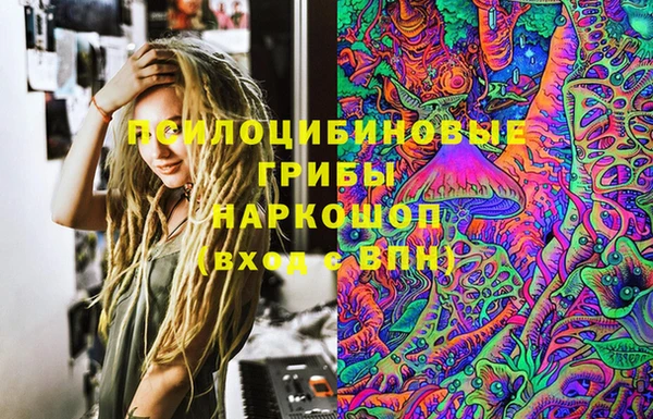Альфа ПВП Каменногорск