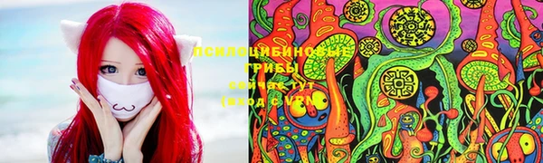 круглые Инсар