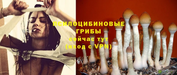круглые Инсар