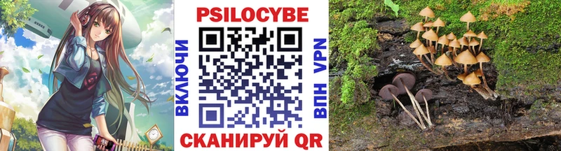 Галлюциногенные грибы Psilocybe  Купить  Белёв 